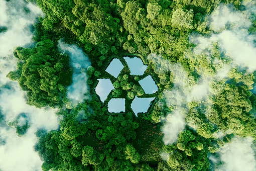 Circular Future